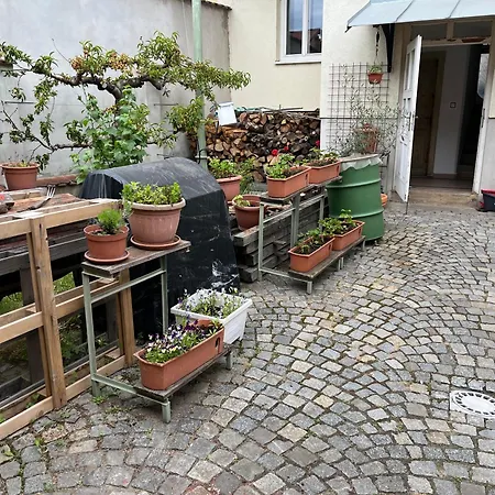 Na Kopečku V Srdci Znojma Apartmán